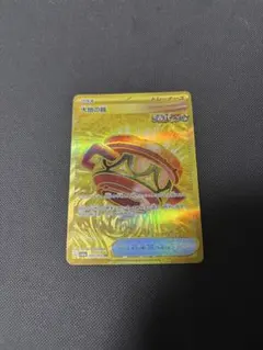 2026年最新】大地の器 urの人気アイテム - メルカリ